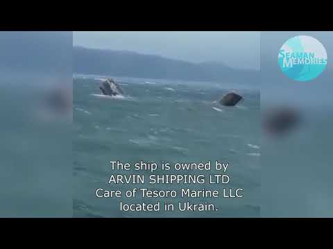 Cargo Ship Arvin sinks in the Black Sea while at anchor