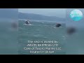 Cargo Ship Arvin sinks in the Black Sea while at anchor