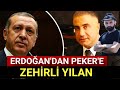 Erdoğan'dan Sedat Peker'e zehirli yılan, erdoğan Süleyman soylu, Mehmet Ağar Çakıcı,