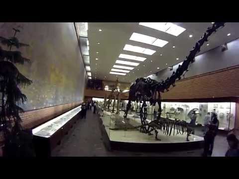 Video: Paleontological Museum Sa Teply Stan