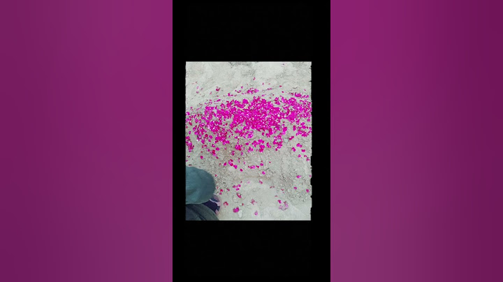 Allah Pak Mera baba ko jannat m ala makam Ata farmaye ameen 😭😭😭🤲🤲😭😭😭😭#abbujaan😭#missyou