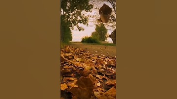 Thumbnail of Craymer — Can't Take My Eyes Off You (Solo Version)
