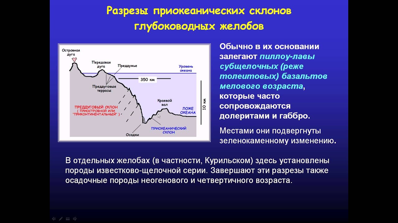 В глубоководных сообществах океана отсутствуют. Глубоководные желоба. Гелленский глубоководный желоб. Курило Камчатский глубоководный желоб. Бонинит-марианитовая формация.