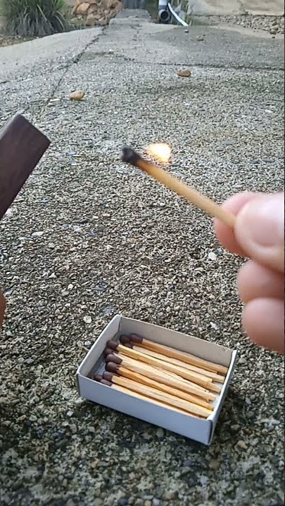 ngeriview korek kayu