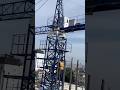 Activities tower cranes 🏗️ lifting rebar #construction #shorts #building #civilengineering