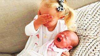 Legendary Moments When Kids Meet Newborn Babies  Funny Baby Siblings
