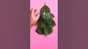 Leaf ganapathi