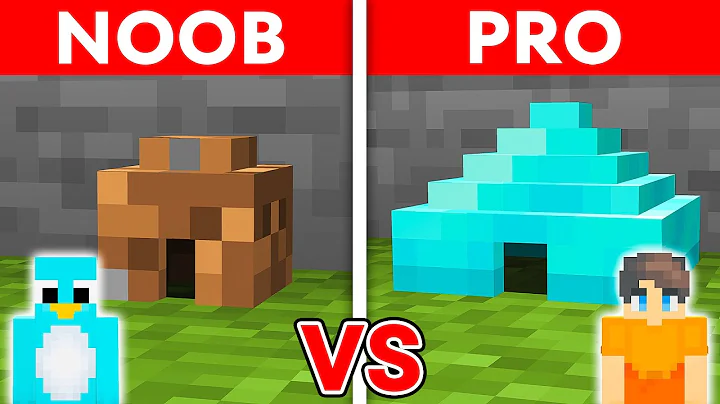 Noob VS Pro: SAFEST TINY HOUSE BUILD CHALLENGE