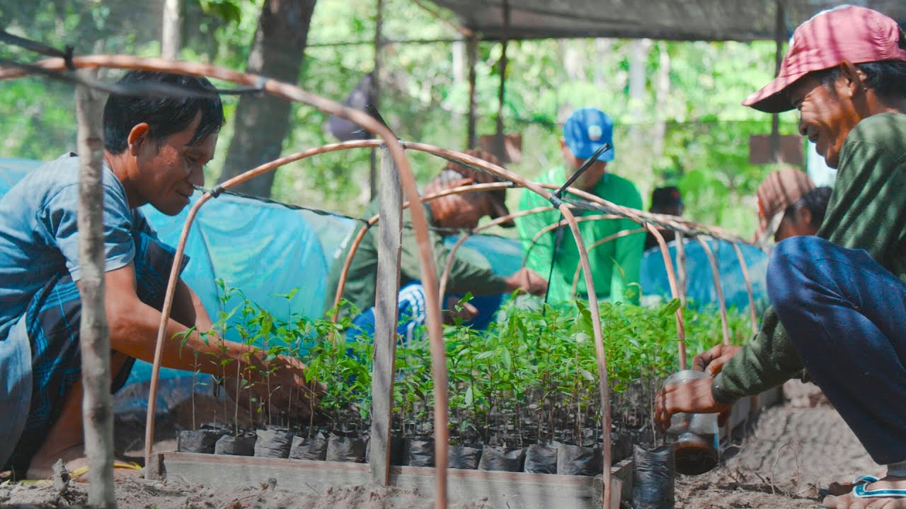 Cultivando Maputo (2018) - eine andere Stadt ist pflanzbar