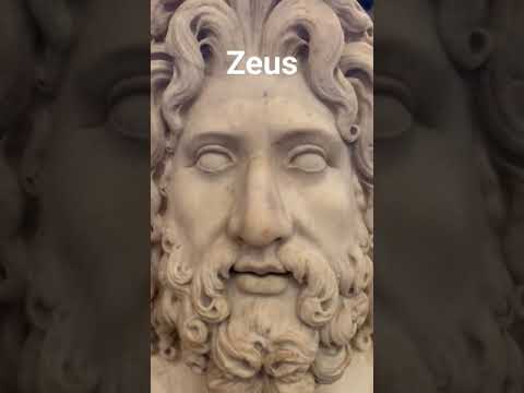 ZEUS  #zeus