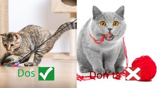 The Do's And Don'ts For Cat Owners