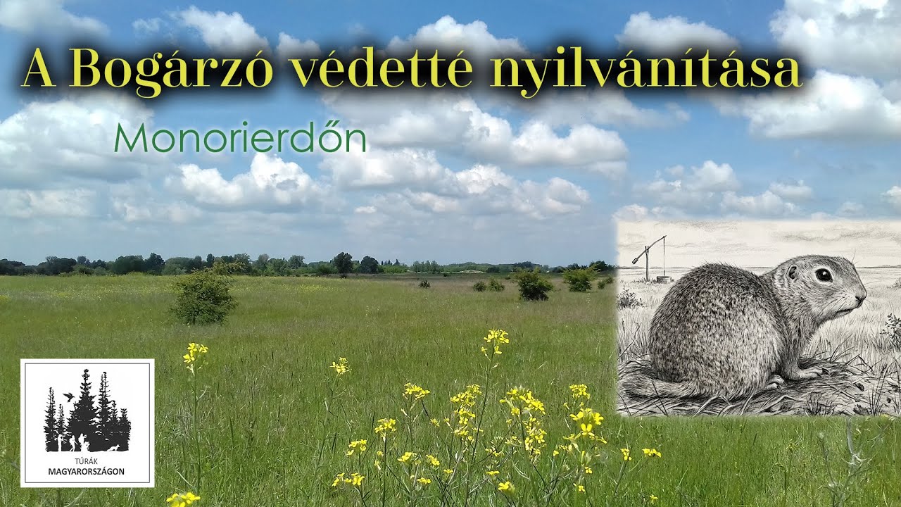 A Bogárzó rét védetté nyilvánítása