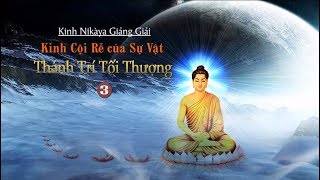 Kinh NIKAYA Giảng Giải – Kinh Cội Rễ Của Sự Vật – Thánh Trí Tối Thượng 3