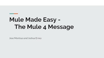 The Mule 4 Message