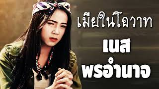 รวมเพลงดัง เนส พรอำนาจ ที่มาแรงที่สุดในตอนนี้:บ่าวพี่ชาย,ชีวิตน้องไปแต่ท่งนา,3ช่า ย้อนยุค สนุกๆ