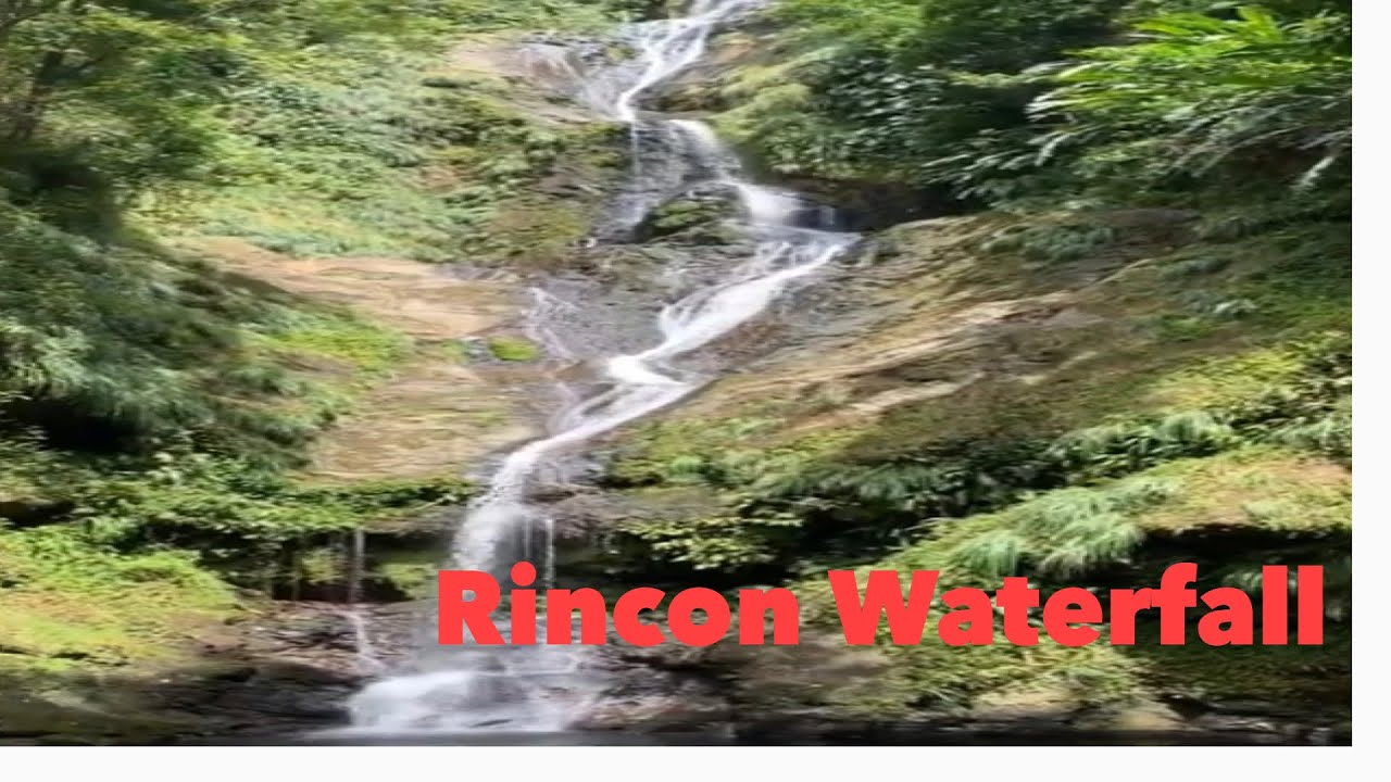 Rincon Waterfall Trinidad And Tobago YouTube rincon-waterfall-trinidad-and-tobago-youtube