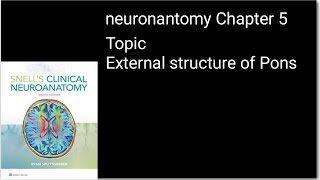 Pons external features easiest explanation|External structure of pons#neuroanatomy#medical lectures