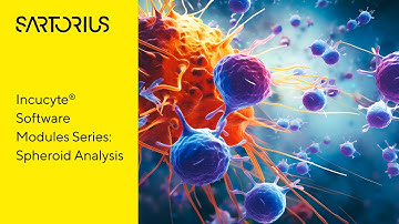 Incucyte® Assay software: Incucyte® Spheroid Analysis Software Module