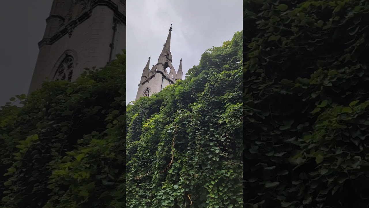 St Dunstan in the East nature's ruins 