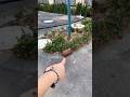 Dirty Pig 🐷🥰~New Viral Gadgets, Smart Appliances, Kitchen Utensils/ Home Inventions #shorts #gadgets