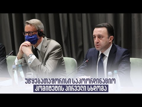 უწყებათაშორისი საკოორდინაციო კომიტეტის პირველი სხდომა