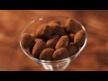 【バレンタイン】簡単（かも）アマンドショコラの作り方（アーモンドチョコレート） How to make Almond Chocolate【ネコノメレシピ】