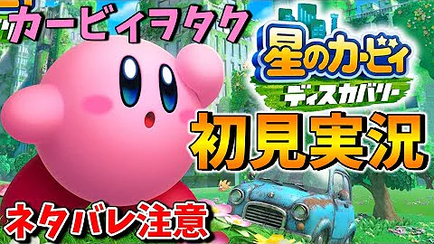 笑ってはいけないカービィ 何をしても怒らないへいかをた