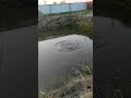 #рыбалка