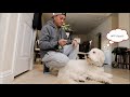 DAY 1 &amp; 2 | Me &amp; My Dawgs | 25 days of  Xmas Vlogs ft  Airuzz