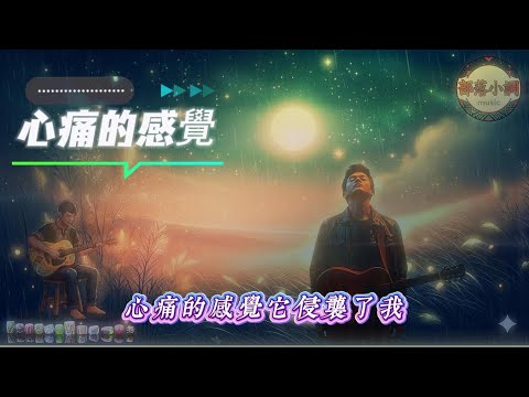 心痛的感覺｜蘇芮｜經典華語老歌 Cover｜感冉力 阿冉