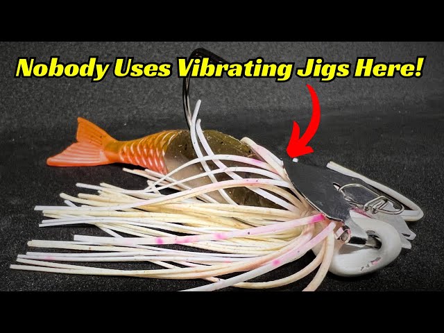 Why Doesn't Anyone Fish A Vibrating Jig Like This! It Works So Good! 