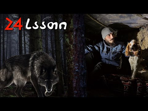 24 საათი მიწისქვეშა სახლში ! მგლები გარეთ ?