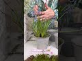 Die EINFACHSTE Frühlingsdeko 2023! 🤩 - Dekotipp mit frischen #frühlingsblumen