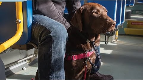 AODA IASR Accessibility Ontario Workplace Training