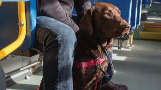 AODA IASR Accessibility Ontario Workplace Training