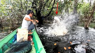 SUNGGUH MENGERIKAN IKAN TOMAN INI SAMPAI MELOMPAT