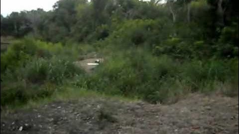 8lb  H2 EXPLODING TARGET aa