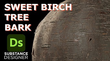 Sweet Birch Tree Bark Material Tutorial - Substance Designer