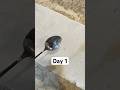 Day 1. Subscribe and break this block💪 #challenge #spoon #day1