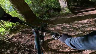 Surrey B.c. Watershed Park - Goats Trail