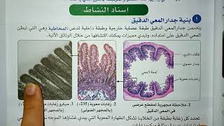 ما هو مقر امتصاص المغذيات 🤔؟ و لماذا🤨 ؟ {نشاط 2 #مقر الامتصاص الجزء الاول1⃣}BEM 2020