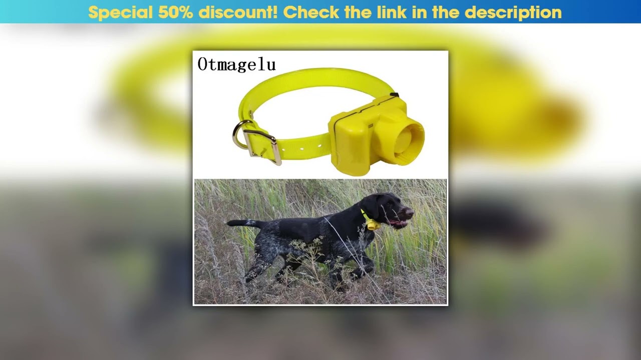 Top Professional Hunting Dog Beeper Chargable Dog Training Collar Dog Training Tracking Equipment P