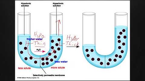 Unit#4 Section#2 Video Fixed