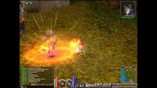 Bug da Skill Colisão PVP - PRISTON TALE