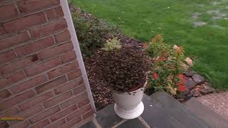 Thunderstorms in Wilmington, DE on 3/30/2020 (with hail)
