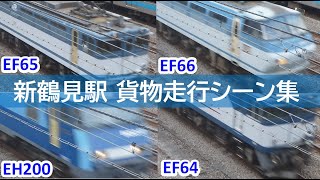 【重連有り】JR貨物EF64・EF65・EF66・EH200型牽引貨物列車 鶴見駅走行シーン