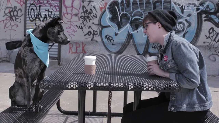 OFFICIAL VIDEO (2013): "Making It Up" John-Allison...