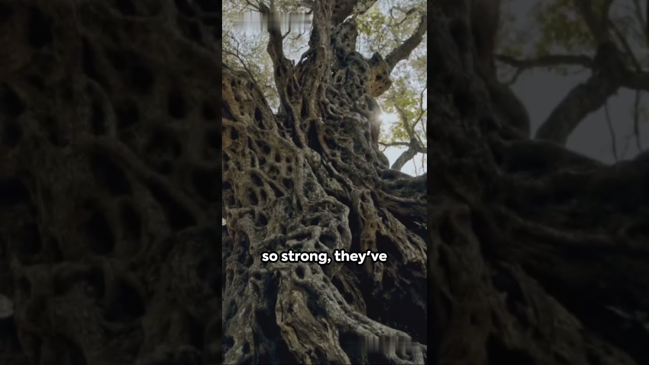 Slope Point, South Island, New Zealand