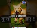 क त त स स ख ए Motivation Trending Viralshort Doglover Dog