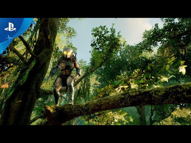 Jogo Ps4 Predator Hunting Grounds Kabum